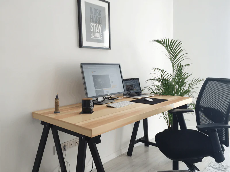 Areca palm in a bright workspace