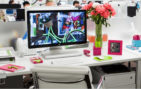 Blooming cyclamen on a designer desk
