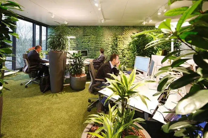Plant-filled café area of the easyCredit offices