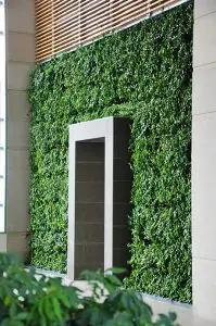 Living wall of the Bell campus on Nuns' Island