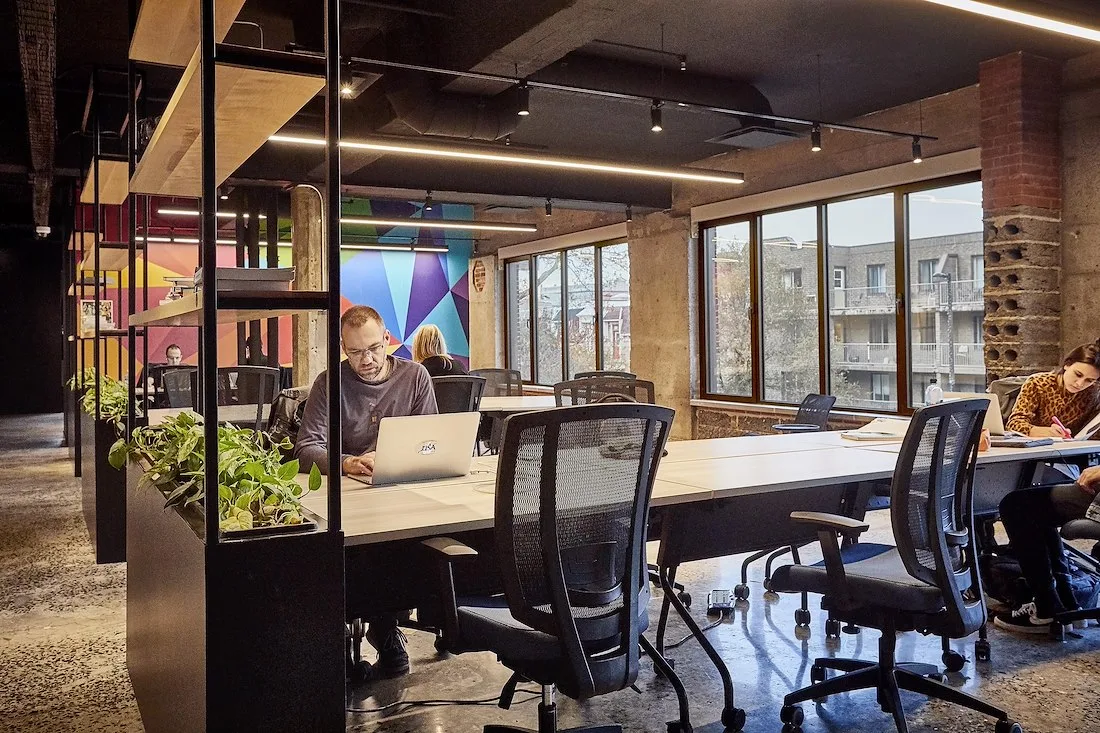 Open offices with plants and natural light