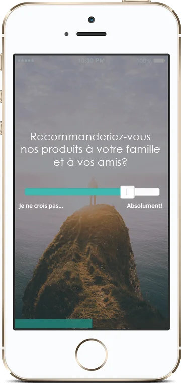 Preview of the Amélio survey on mobile
